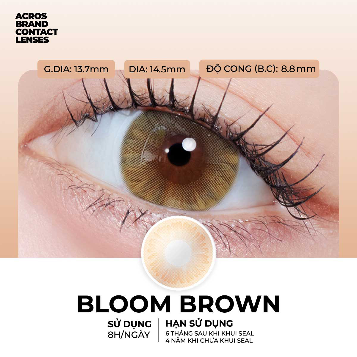 Bloom Brown