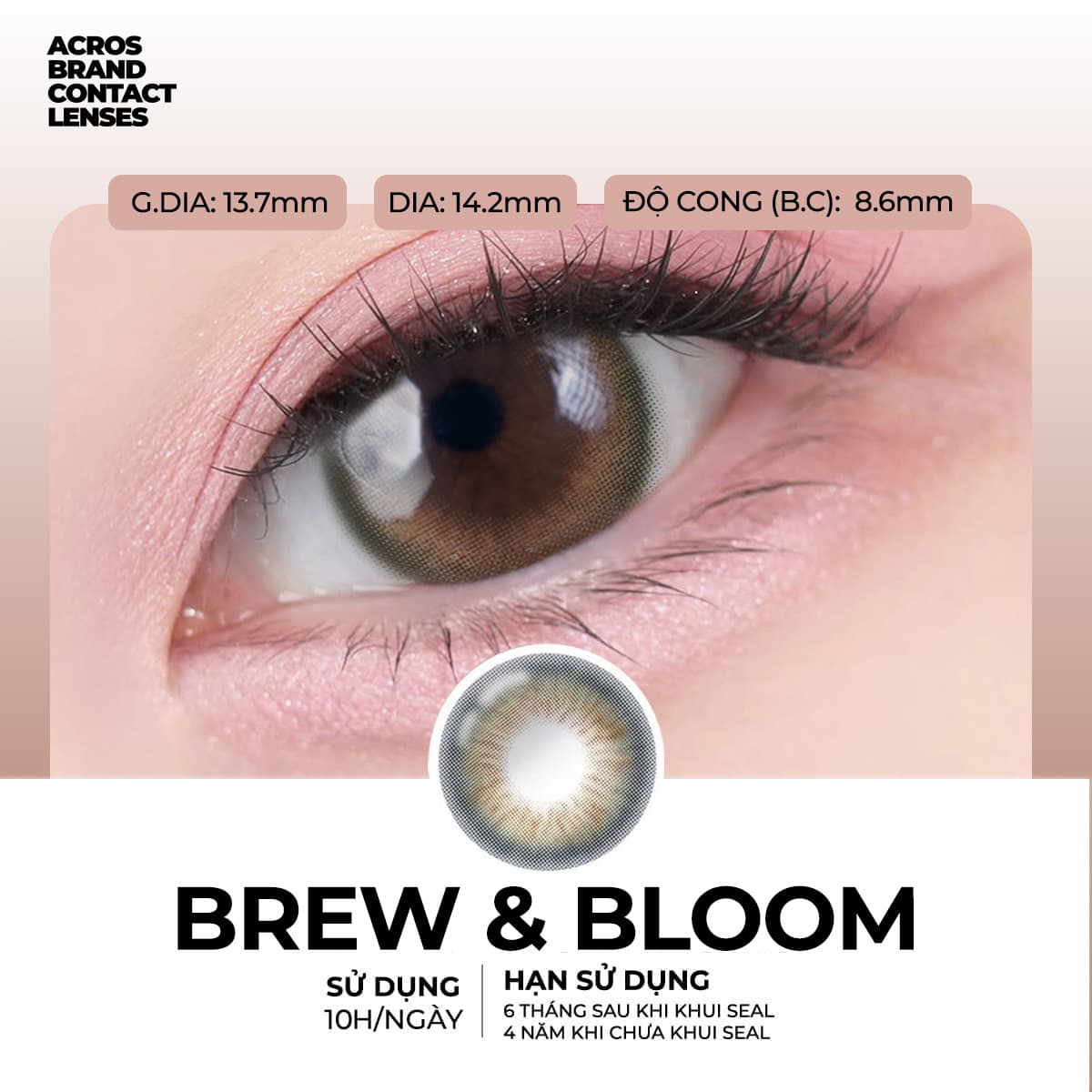 BREW & BLOOM
