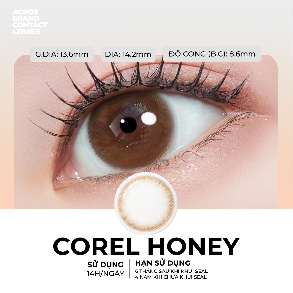 Corel Honey