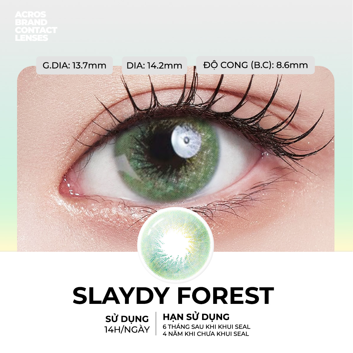 Slaydy Forest